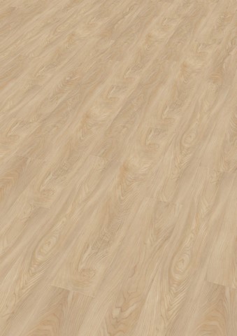 maple