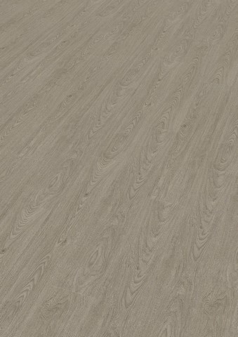 oak grey