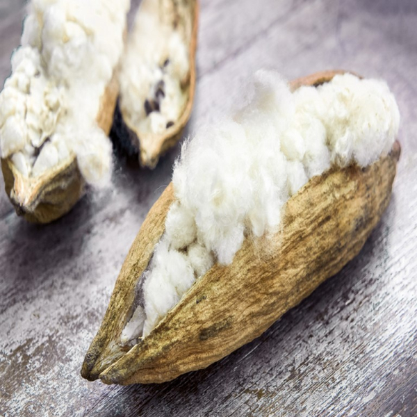 Sleepline Ganzjahresduvet KAPOK medium (vegan)